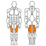 Alexia Leg Extension / Leg Curl MA779